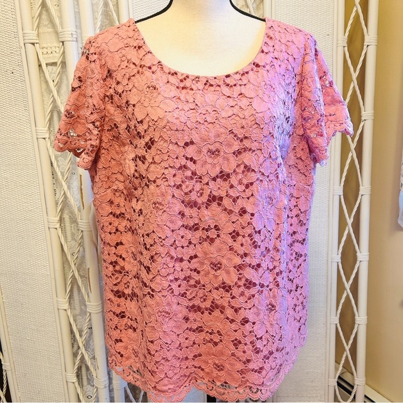 Talbots Top Dusty Rose Lace Blouse Short Sleeve Lined Scallop Hem Plus size 18W - Picture 2 of 15